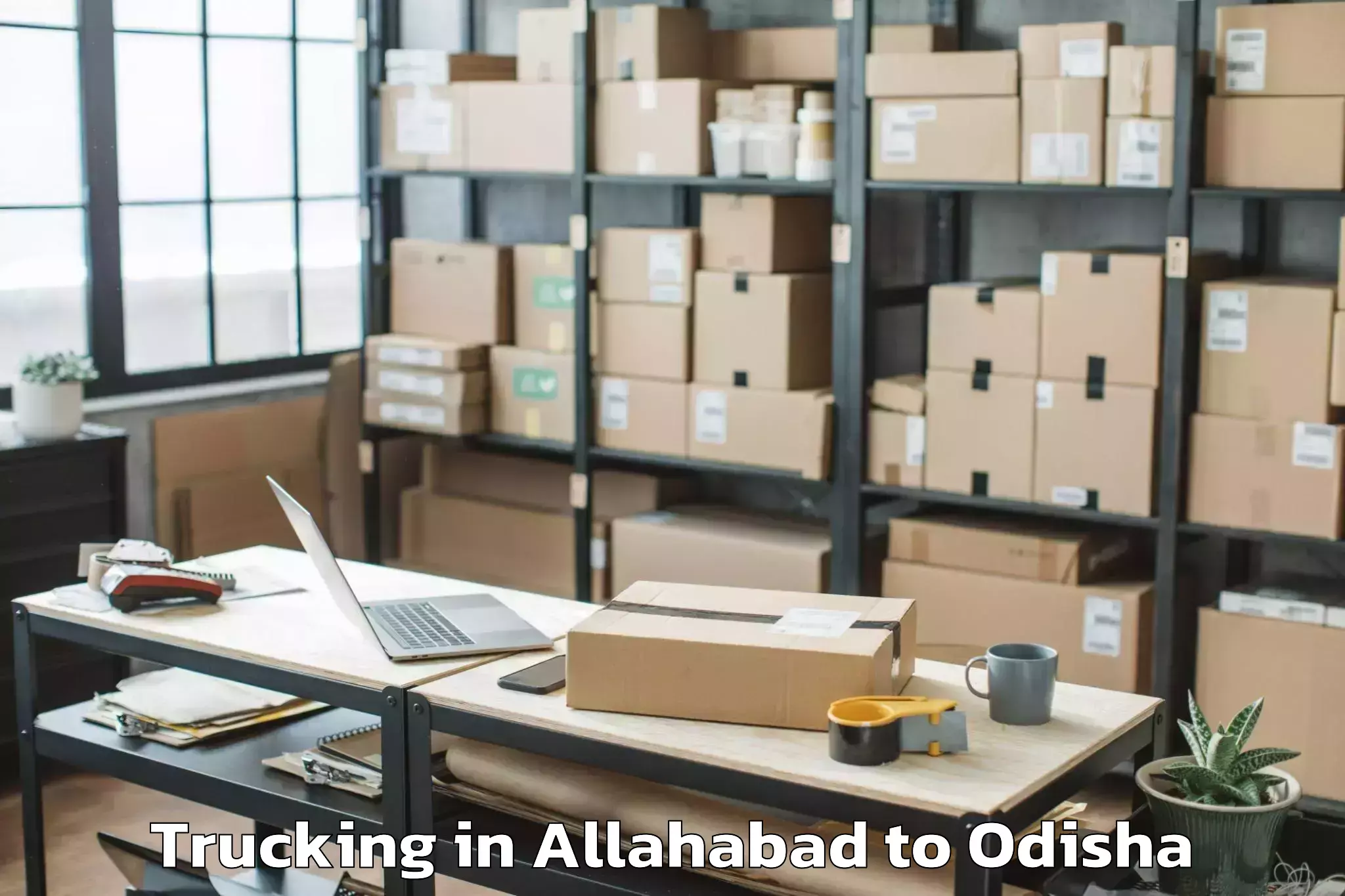 Book Allahabad to Raikia Trucking Online